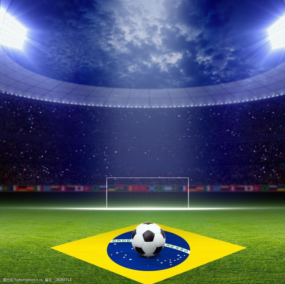 新品生命周 新品生命周